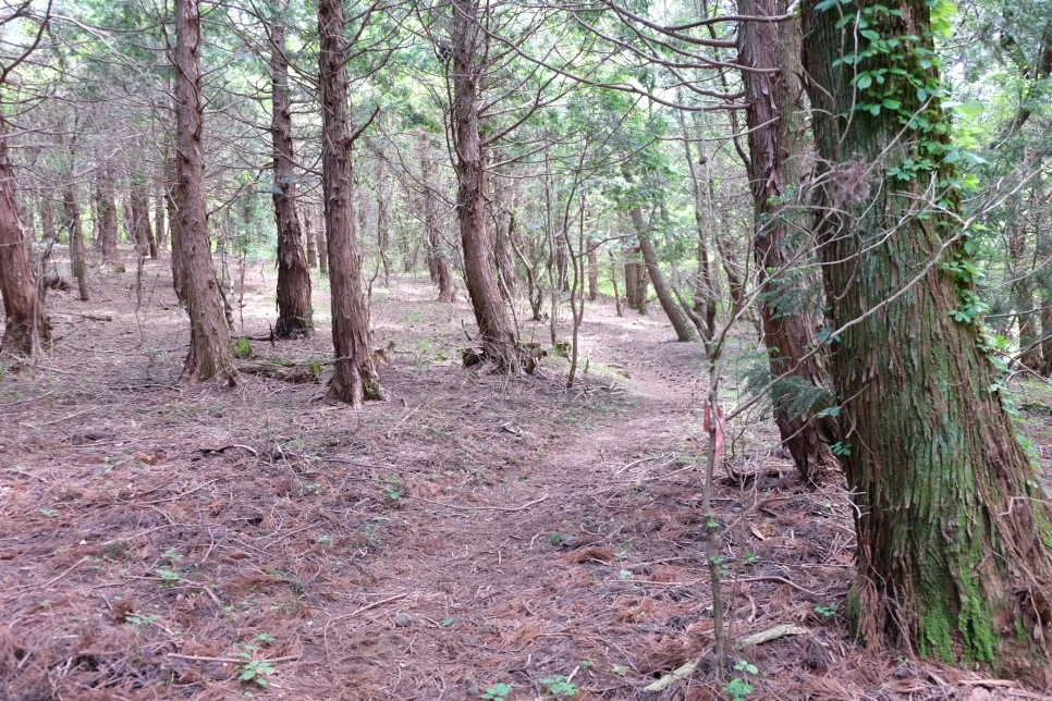 %EB%B0%A9%EC%84%A0%EB%AC%B8%EA%B3%84%EA%B3%A1_%EC%97%B4%EC%95%88%EC%A7%80_%EC%98%A4%EB%A6%84_%EC%A0%95%EC%83%81_%EA%B0%80%EB%8A%94%EA%B8%B8_8.JPG?type=w966