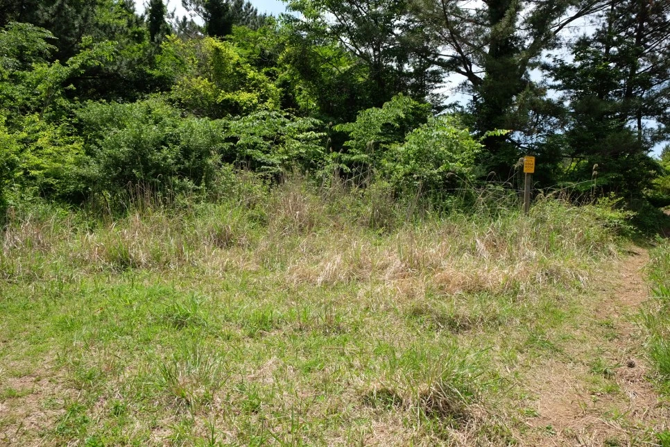 %EB%B0%A9%EC%84%A0%EB%AC%B8%EA%B3%84%EA%B3%A1_%EC%97%B4%EC%95%88%EC%A7%80_%EC%98%A4%EB%A6%84_%EC%9D%B4%EC%A0%95%ED%91%9C_9-1.JPG?type=w966