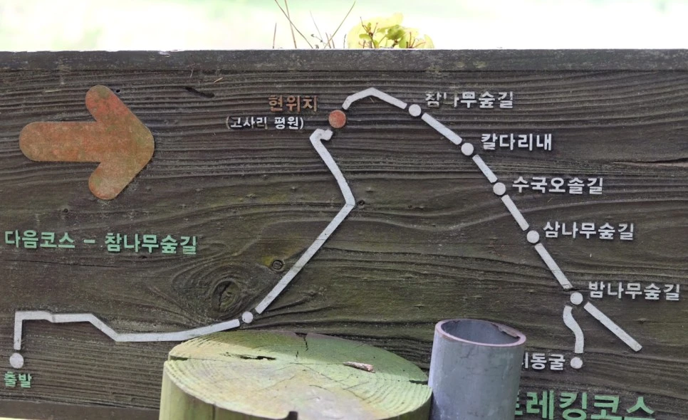 SE-1049ab5c-f1cf-4341-ab93-7534c4c07328.jpg?type=w966