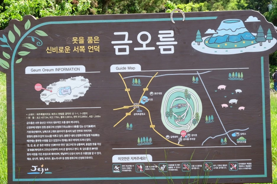 BE7141FA-ACB1-4EF4-894F-3C571DBA3212-13156-000002351182E57A.JPG?type=w1