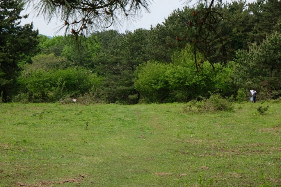 %EC%84%B8%EB%AF%B8%EC%96%91_%EC%98%A4%EB%A6%84_%EA%B3%A0%EC%82%AC%EB%A6%AC%ED%8F%89%EC%9B%90_2.JPG?type=w966