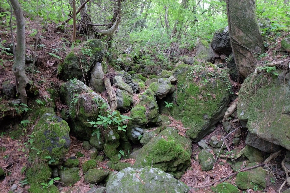 %EC%84%B8%EB%AF%B8%EC%96%91_%EC%98%A4%EB%A6%84_%EC%82%BC%EC%9D%98%EC%95%85_%EC%83%98_2.JPG?type=w966