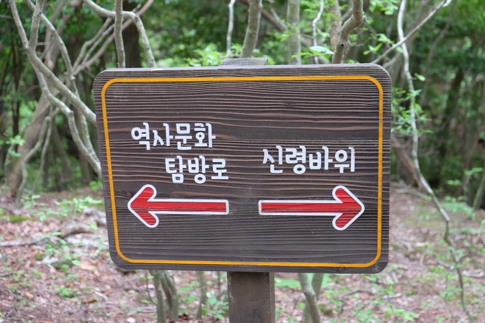 %EC%84%B8%EB%AF%B8%EC%96%91_%EC%98%A4%EB%A6%84_%EC%8B%A0%EB%A0%B9%EB%B0%94%EC%9C%84_%EC%9D%B4%EC%A0%95%ED%91%9C.JPG?type=w966