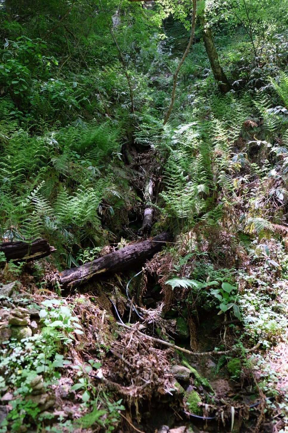 %EA%B3%A8%EB%A8%B8%EB%A6%AC%EC%98%A4%EB%A6%84_%EC%84%9D%EA%B5%B4%EC%95%94_%EB%AF%B8%EB%8B%88%EA%B3%84%EA%B3%A1_1.JPG?type=w966