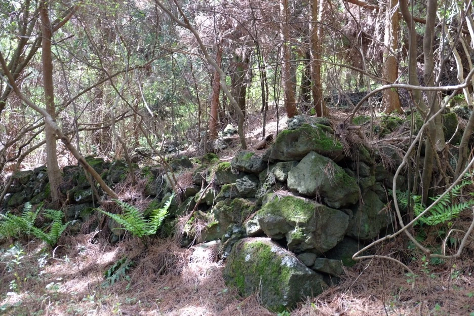 1B022FAB-9637-493A-B453-15ACFD5815EB-727-000021F0F57774D9.JPG?type=w1