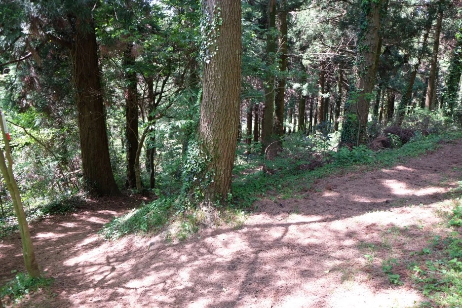 30C8FB7B-3AD8-443C-9DB9-3B092E14C93E-23874-00000536941D4F4E.JPG?type=w1