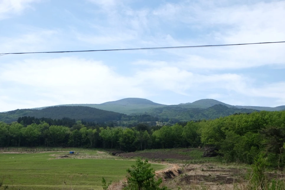 %EB%85%B8%EB%A3%A8%EC%86%90%EC%9D%B4_%ED%95%9C%EB%9D%BC%EC%82%B0.JPG?type=w966