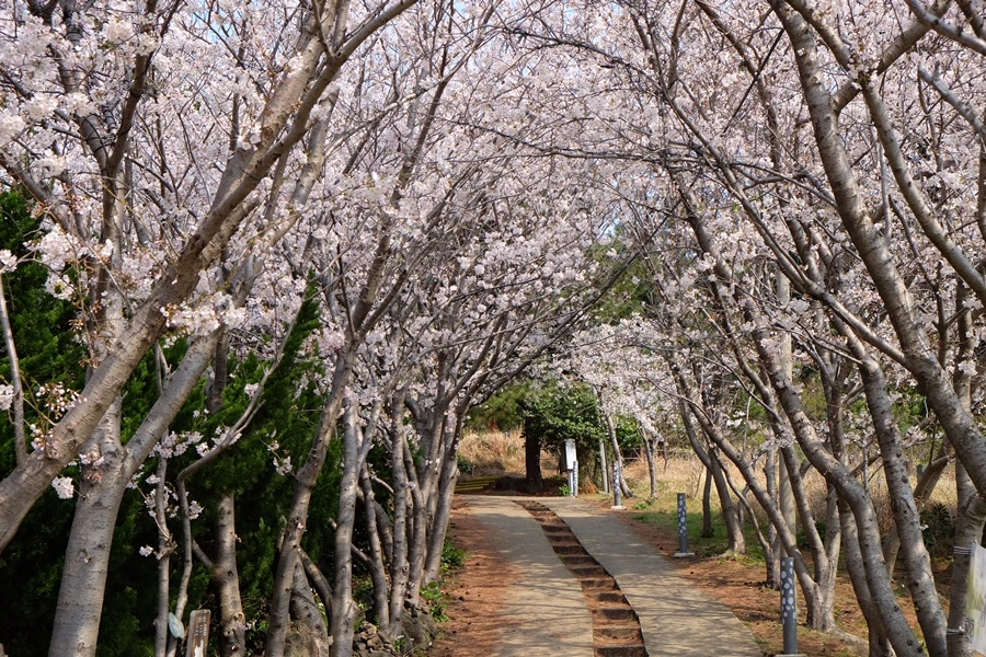 AE66C7FE-2C28-412D-9ABE-1152717E9D21-29599-000005DC6C92717E.jpg?type=w1