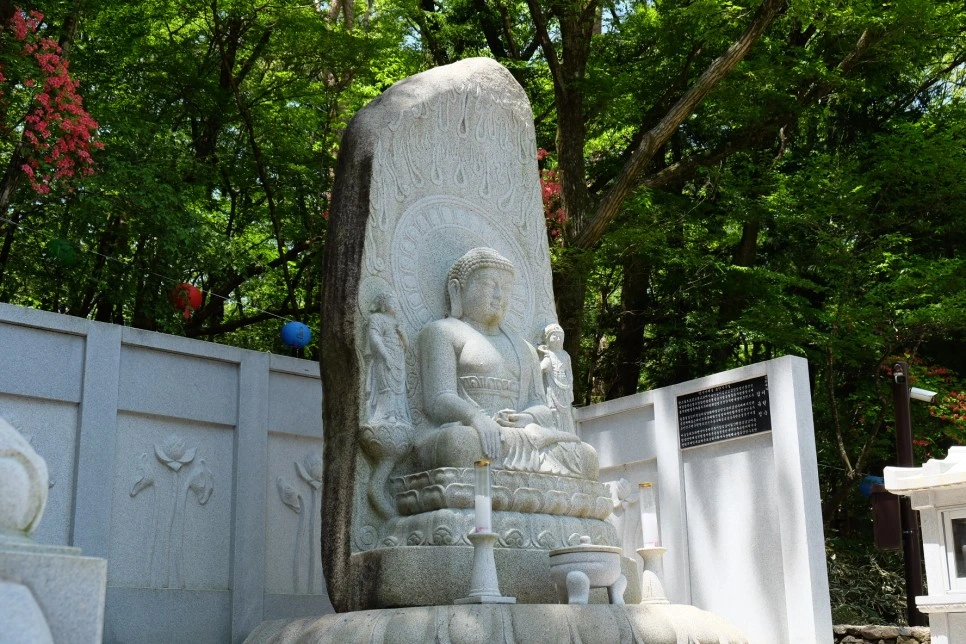 %EC%B2%9C%EC%99%95%EC%82%AC_%EC%95%BD%EC%82%AC%EC%97%AC%EB%9E%98%EB%B6%88_2.JPG?type=w966