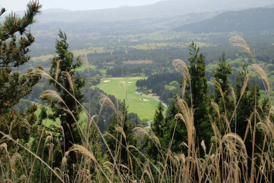 925801C5-5E0E-46AC-B557-73849631A24B-727-000021F076688A35.JPG?type=w1