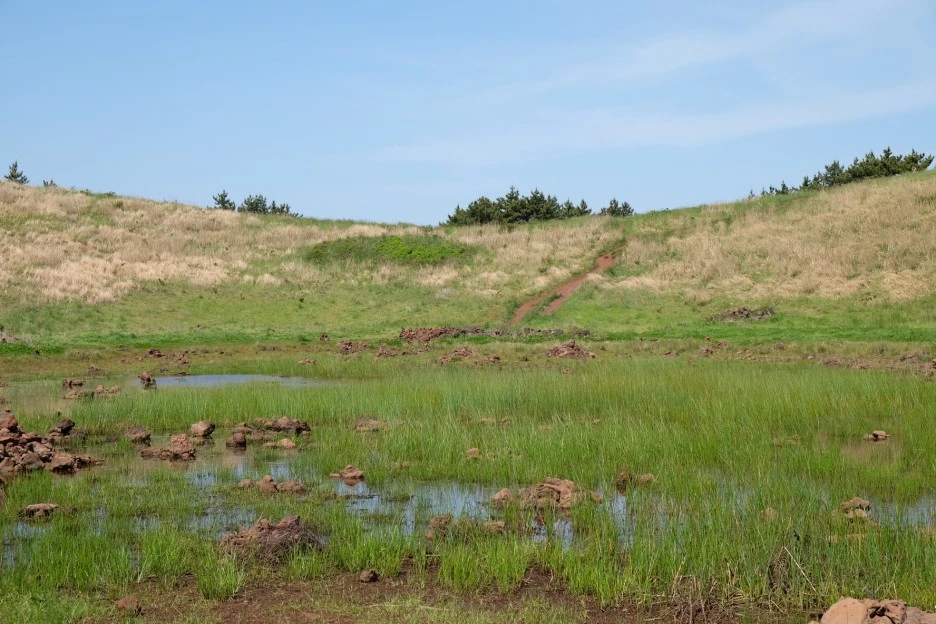 BA08B0E1-FEB0-44E6-A61F-FEF8FF1B58C5-13156-000002358248A1DB.JPG?type=w1