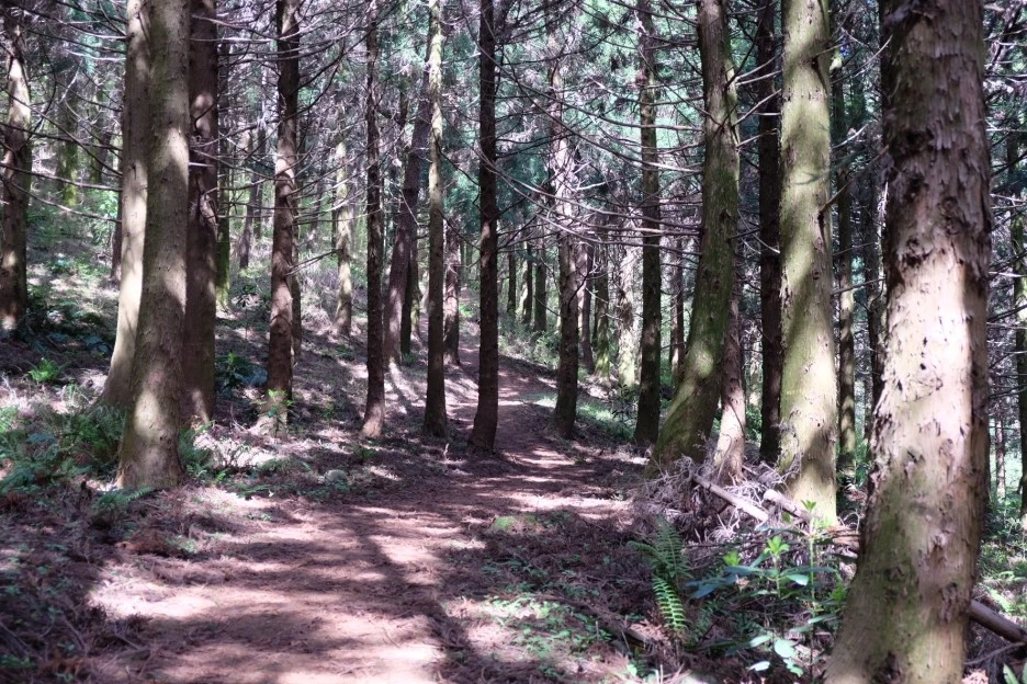 0571C2D8-FEED-40D3-9274-9DFF07D14B27-727-000021F0FFD9355B.JPG?type=w1