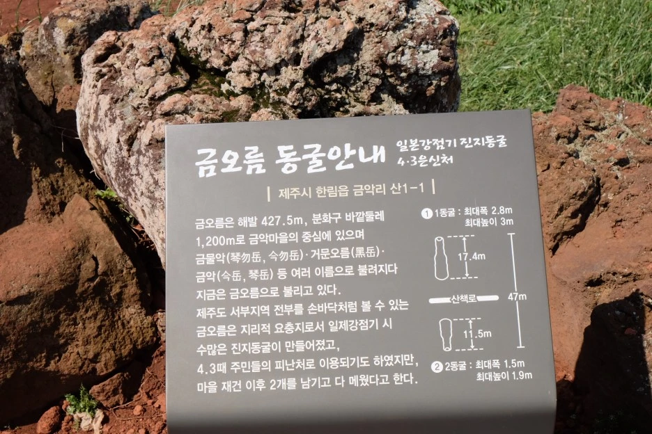 CE2F2844-9C8E-44C8-9145-AE52B44FAE0D-13156-0000023560EEEC90.JPG?type=w1