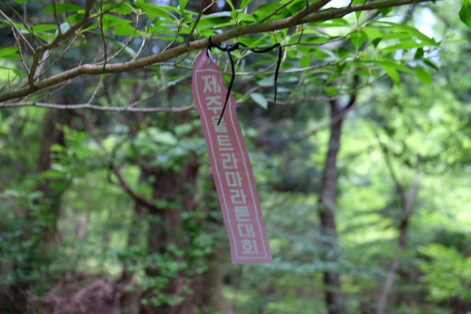 %EB%B0%A9%EC%84%A0%EB%AC%B8%EA%B3%84%EA%B3%A1_%EC%97%B4%EC%95%88%EC%A7%80_%EC%98%A4%EB%A6%84_%EC%A0%95%EC%83%81_%EA%B0%80%EB%8A%94%EA%B8%B8_5.JPG?type=w966