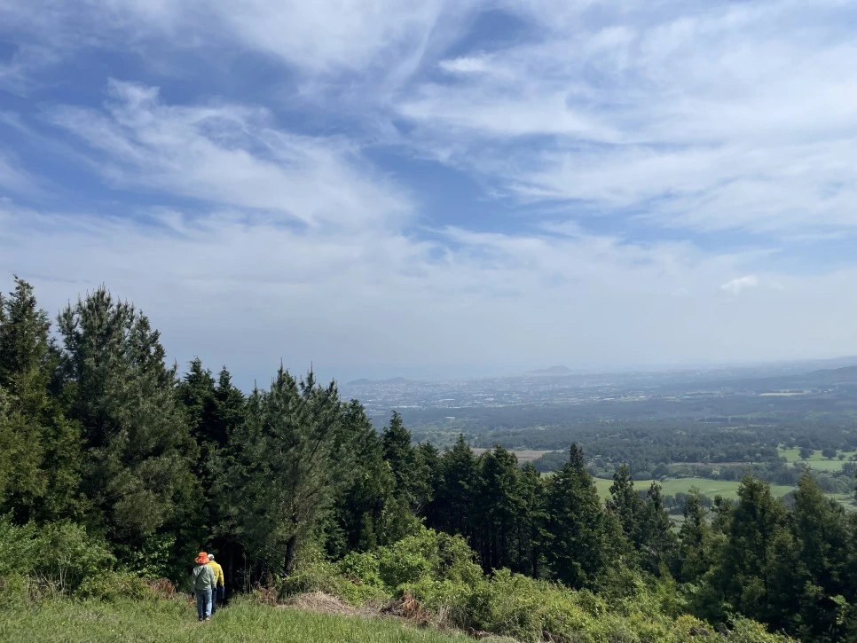 %EB%85%B8%EB%A3%A8%EC%86%90%EC%9D%B4_%ED%95%98%EC%82%B0_%EA%B8%B8.jpg?type=w966