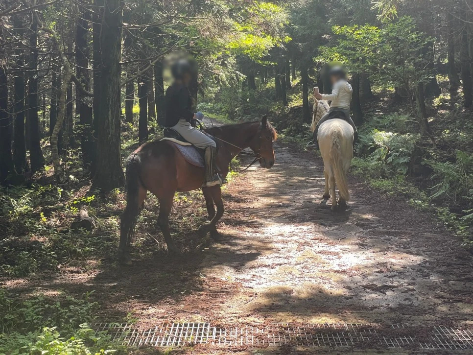 SE-47b41932-6479-45be-a94d-11bf4844dd6f.jpg?type=w966