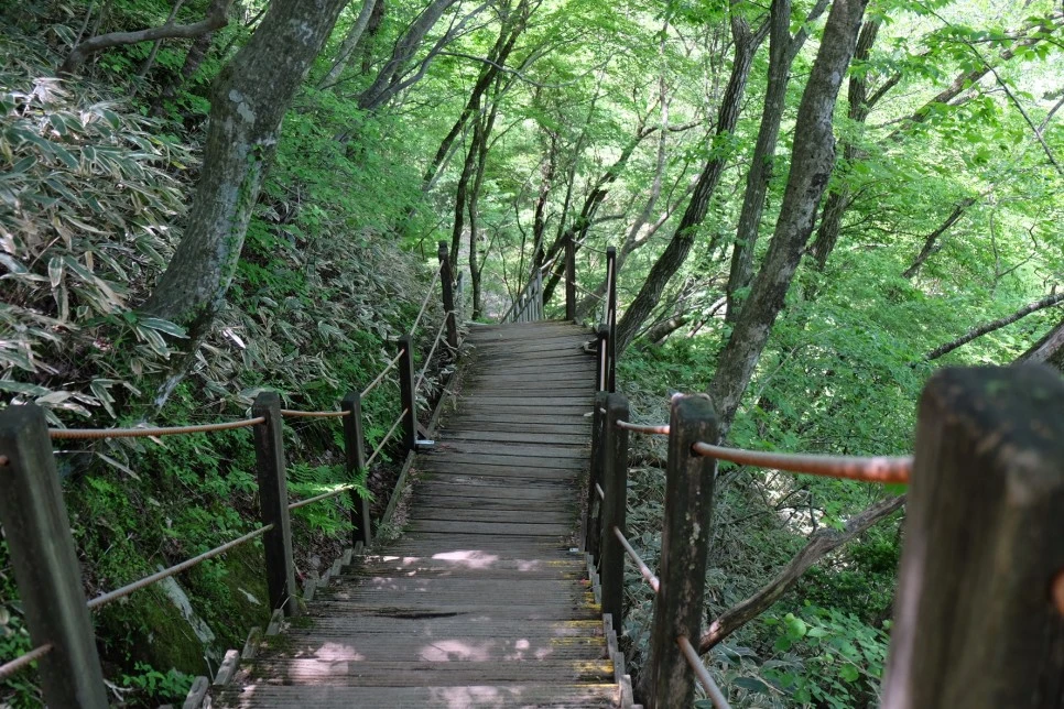 %EA%B3%A8%EB%A8%B8%EB%A6%AC%EC%98%A4%EB%A6%84_%EC%84%9D%EA%B5%B4%EC%95%94_%EB%82%B4%EB%A6%AC%EB%A7%89%EA%B8%B8_2.JPG?type=w966