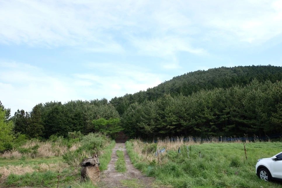 %EB%85%B8%EB%A3%A8%EC%86%90%EC%9D%B4_%EC%9E%85%EA%B5%AC.JPG?type=w966