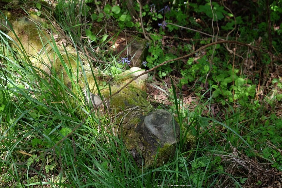 82550777-F924-4B19-A21B-043B34ACA03C-727-000021F0CD903D7D.JPG?type=w1