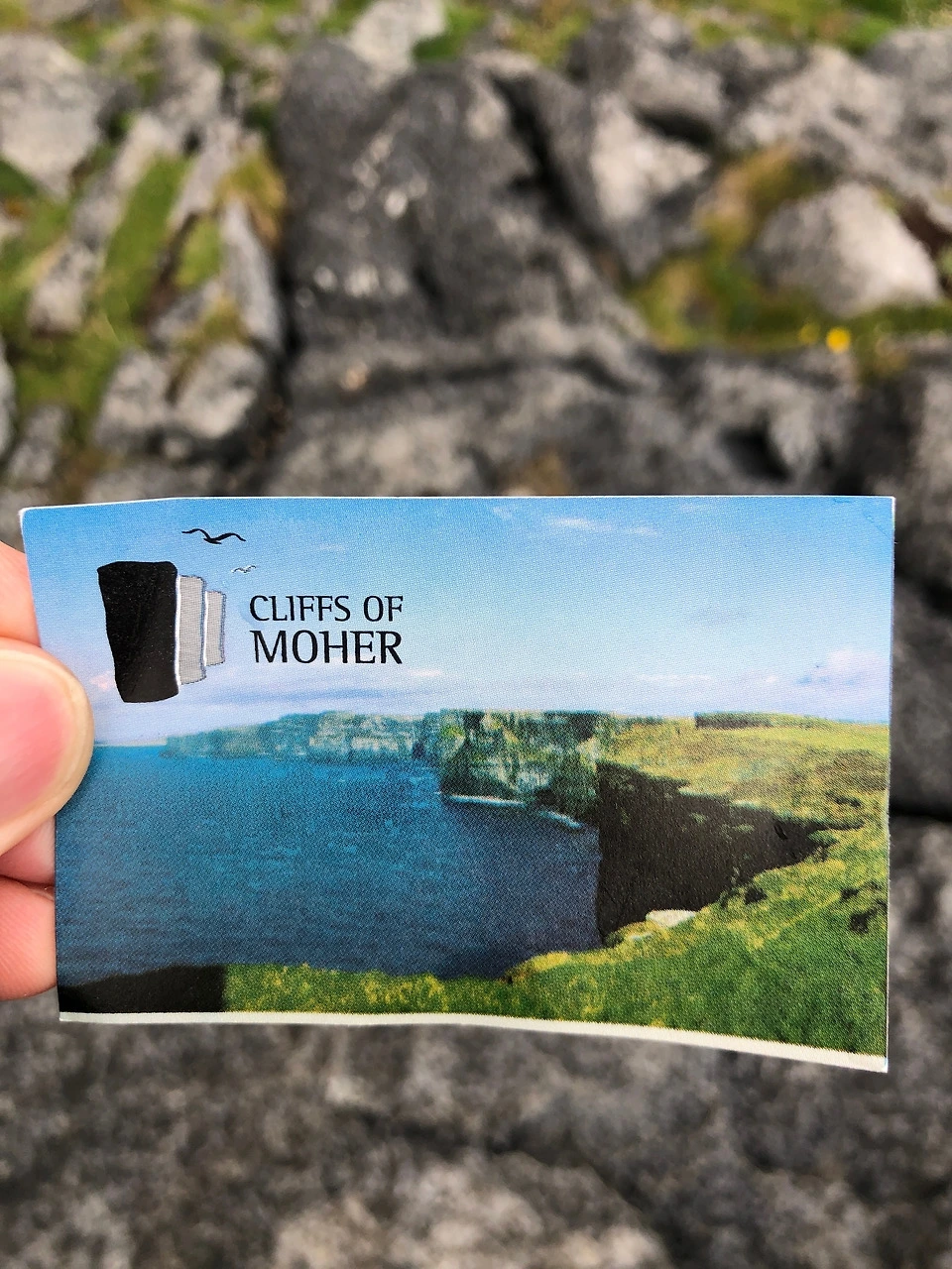 다운로드 (1).jpeg