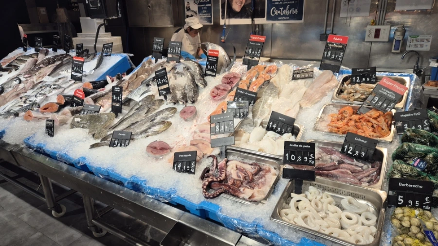 900%EF%BC%BF20240805%EF%BC%BF100648.jpg?type=w3840