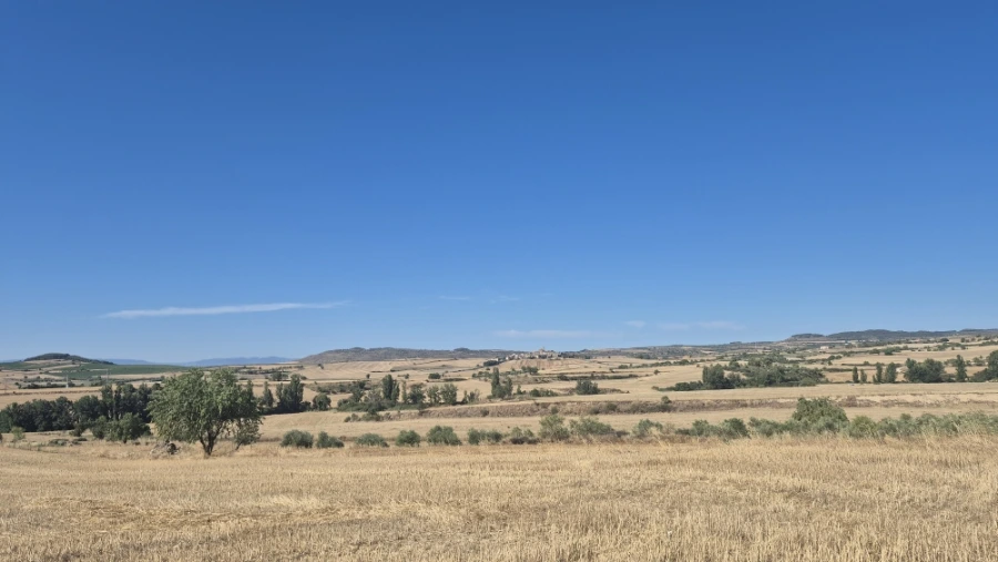 900%EF%BC%BF20240804%EF%BC%BF103809.jpg?type=w3840