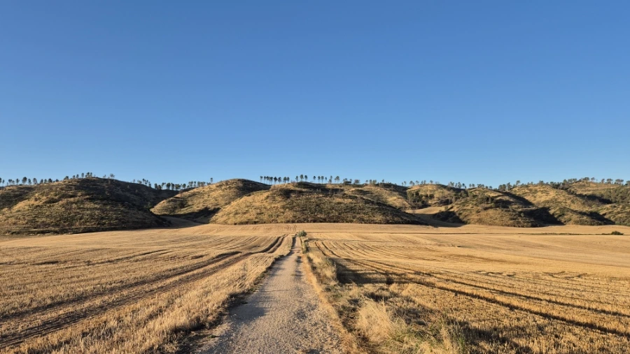 900%EF%BC%BF20240804%EF%BC%BF075021.jpg?type=w3840