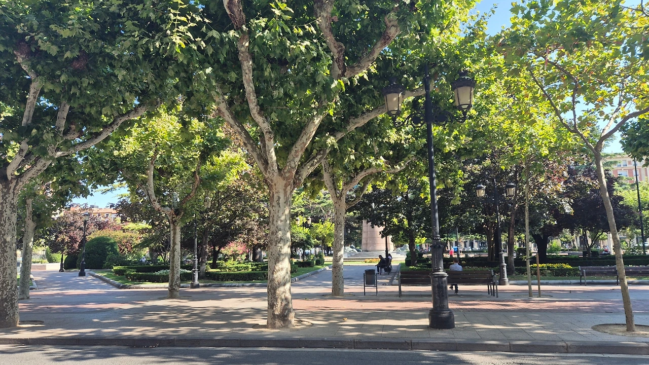 SE-3ecdeb87-ae1a-11ef-af48-7554af00321e.jpg?type=w3840