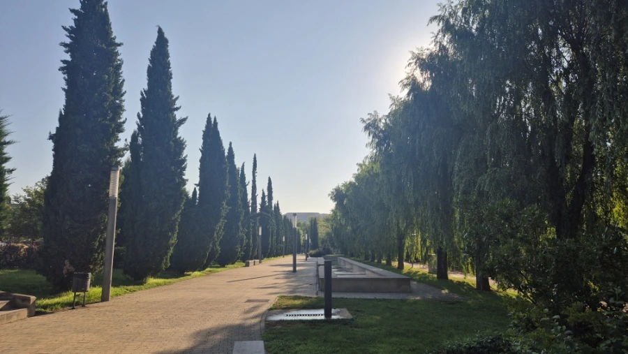 900%EF%BC%BF20240805%EF%BC%BF091554.jpg?type=w3840