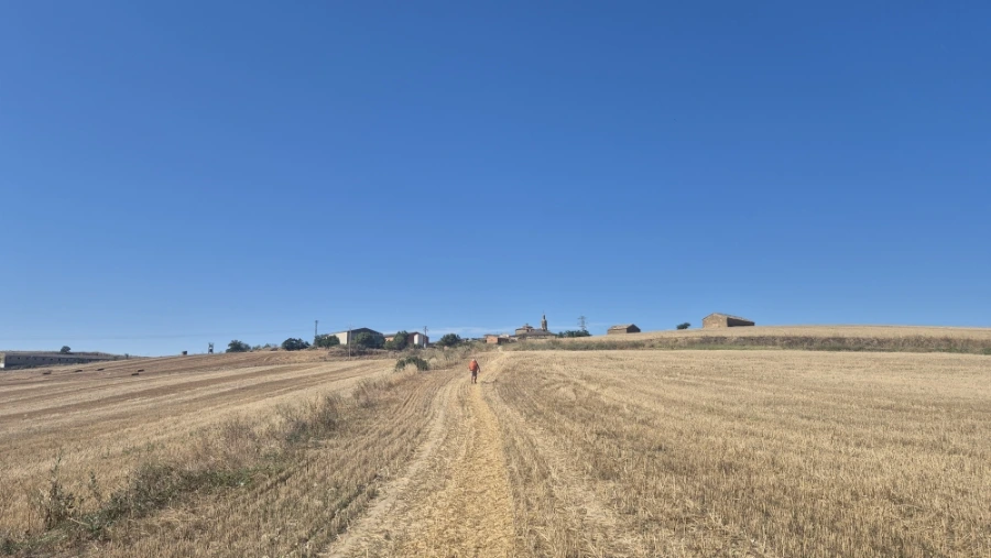 900%EF%BC%BF20240804%EF%BC%BF110116.jpg?type=w3840