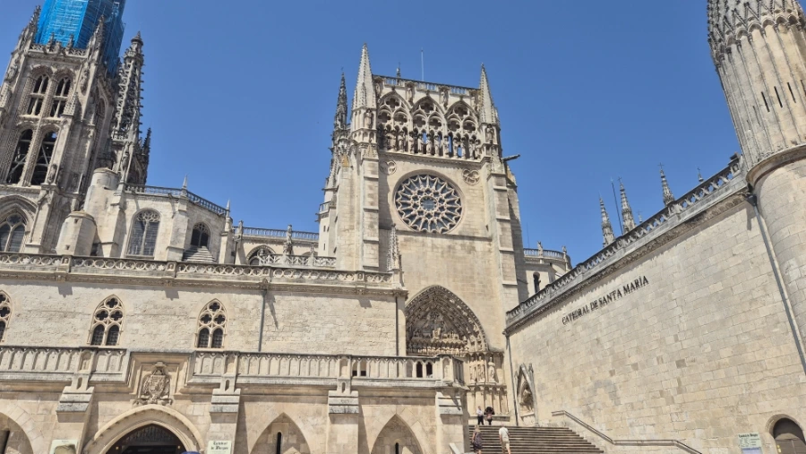 900%EF%BC%BF20240809%EF%BC%BF141546.jpg?type=w3840