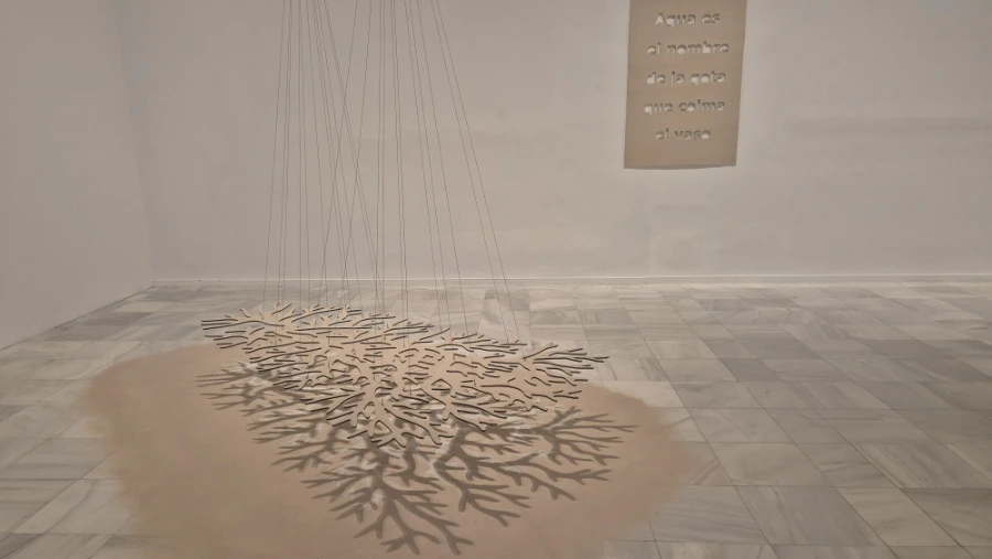 900%EF%BC%BF20240815%EF%BC%BF132847.jpg?type=w3840