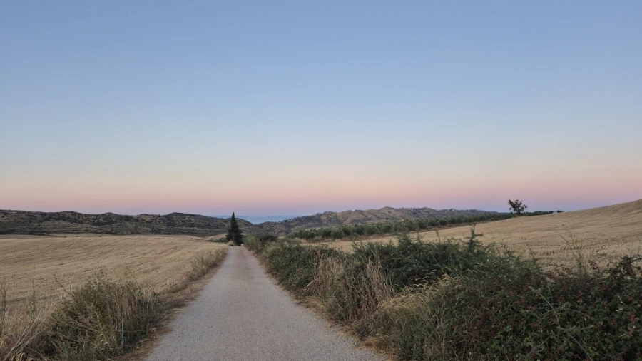 900%EF%BC%BF20240804%EF%BC%BF070558.jpg?type=w3840