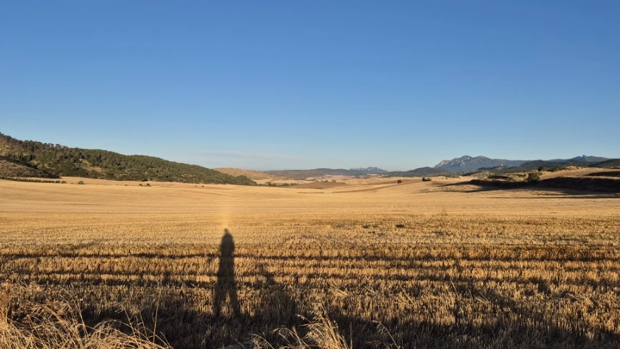 900%EF%BC%BF20240804%EF%BC%BF075114.jpg?type=w3840