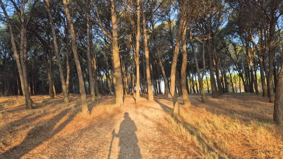 900%EF%BC%BF20240805%EF%BC%BF074457.jpg?type=w3840