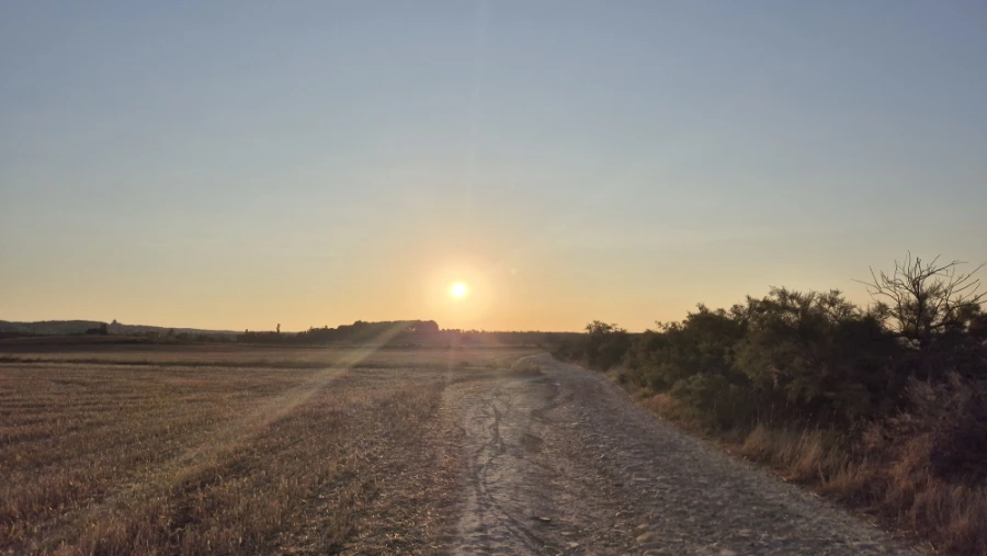 900%EF%BC%BF20240805%EF%BC%BF073820.jpg?type=w3840