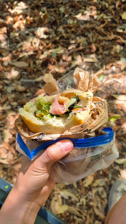 900%EF%BC%BF20240815%EF%BC%BF151231.jpg?type=w3840