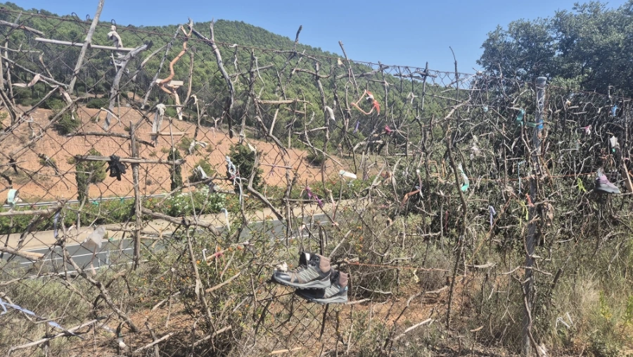 900%EF%BC%BF20240805%EF%BC%BF123407.jpg?type=w3840