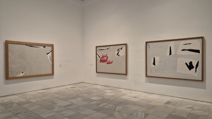 900%EF%BC%BF20240815%EF%BC%BF143316.jpg?type=w3840