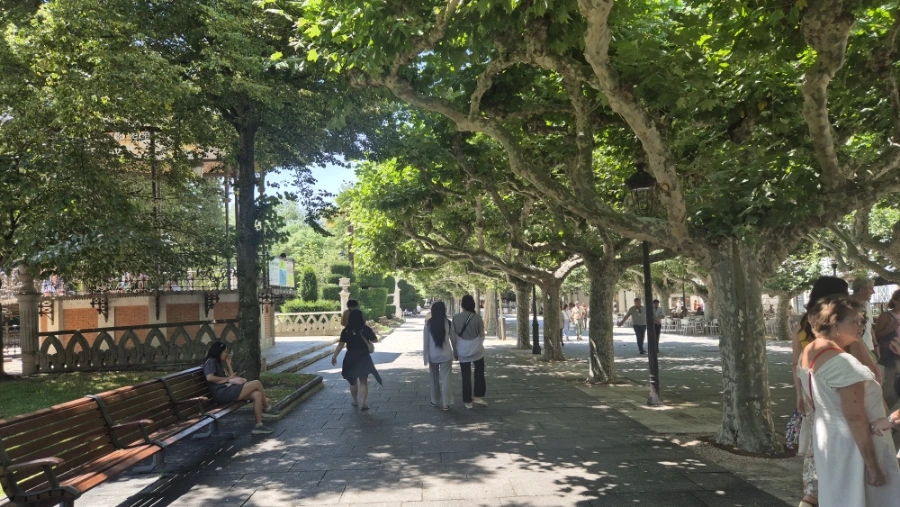 900%EF%BC%BF20240809%EF%BC%BF140817.jpg?type=w3840