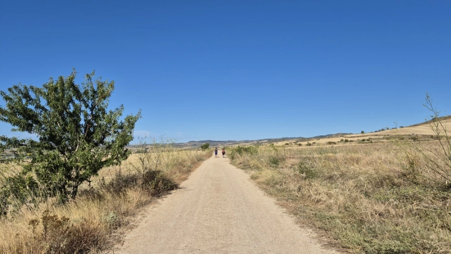 900%EF%BC%BF20240804%EF%BC%BF101243.jpg?type=w3840