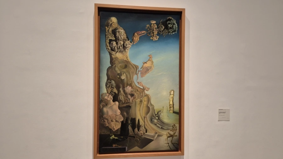 900%EF%BC%BF20240815%EF%BC%BF141649.jpg?type=w3840