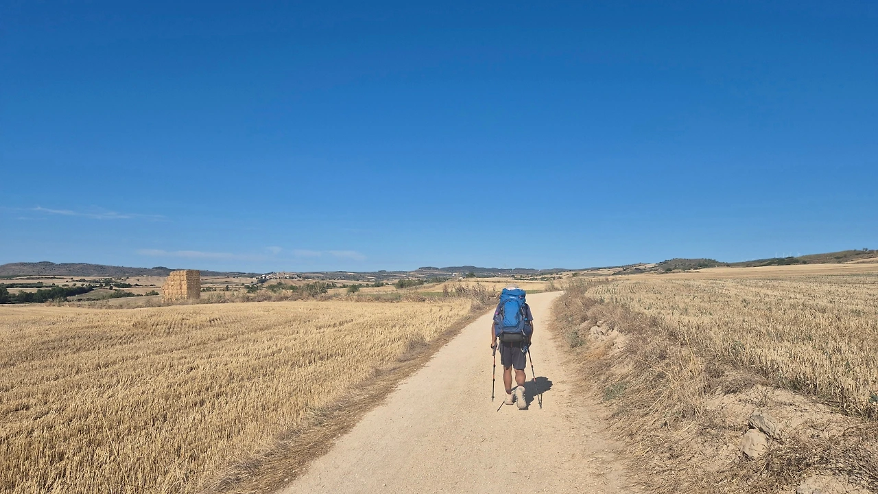 SE-6618a1ff-a30c-11ef-afd6-6782882237ed.jpg?type=w3840