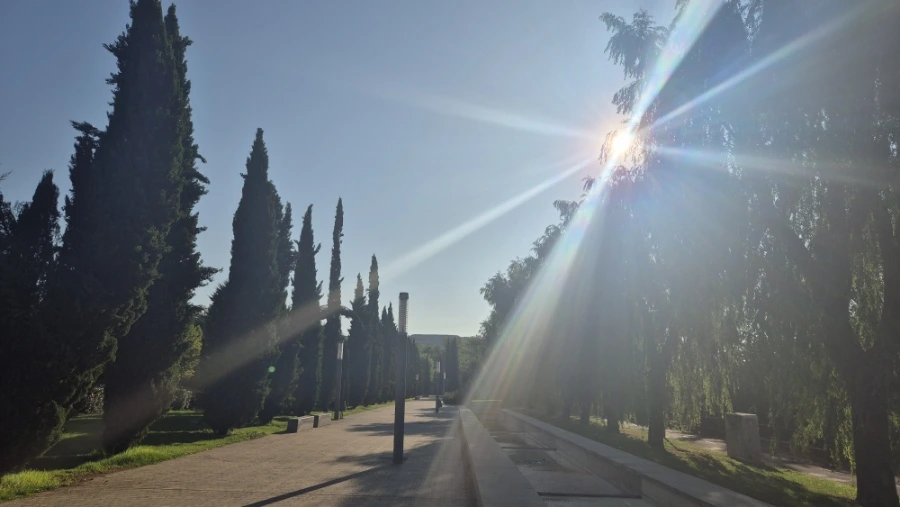 900%EF%BC%BF20240805%EF%BC%BF091533.jpg?type=w3840