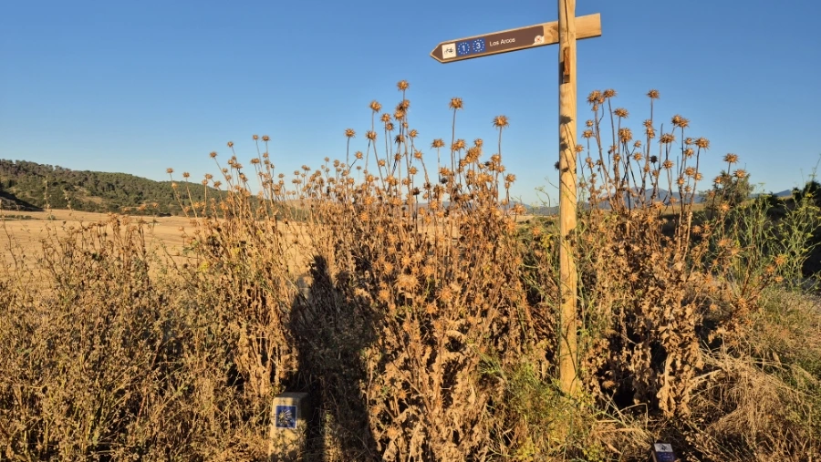 900%EF%BC%BF20240804%EF%BC%BF074941.jpg?type=w3840