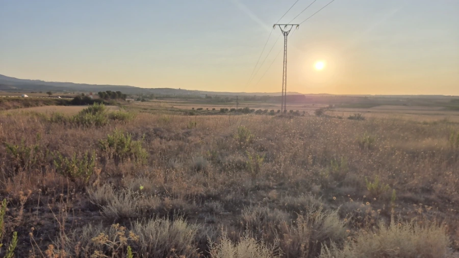 900%EF%BC%BF20240805%EF%BC%BF074400.jpg?type=w3840