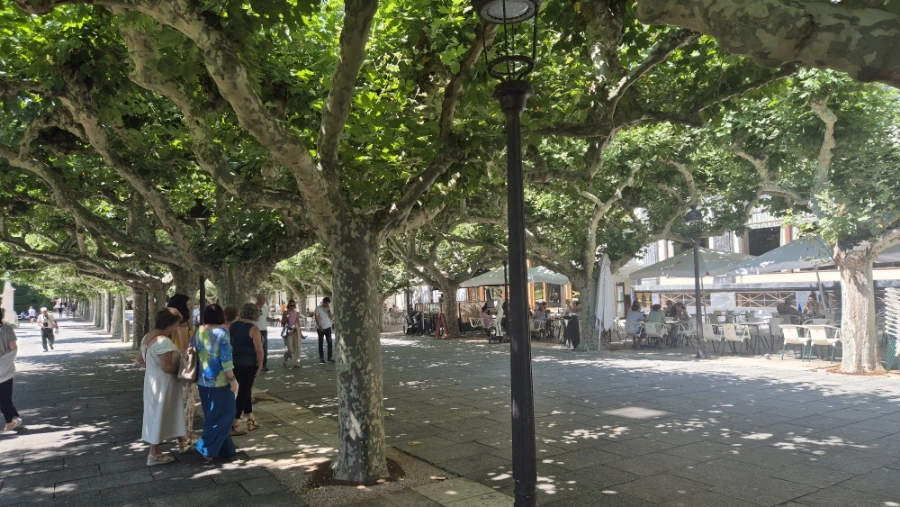 900%EF%BC%BF20240809%EF%BC%BF140813.jpg?type=w3840