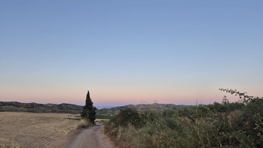 900%EF%BC%BF20240804%EF%BC%BF070716.jpg?type=w3840