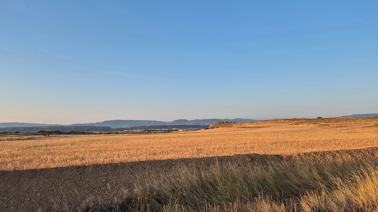 SE-3ec56003-ae1a-11ef-af48-ff4868b151b2.jpg?type=w3840