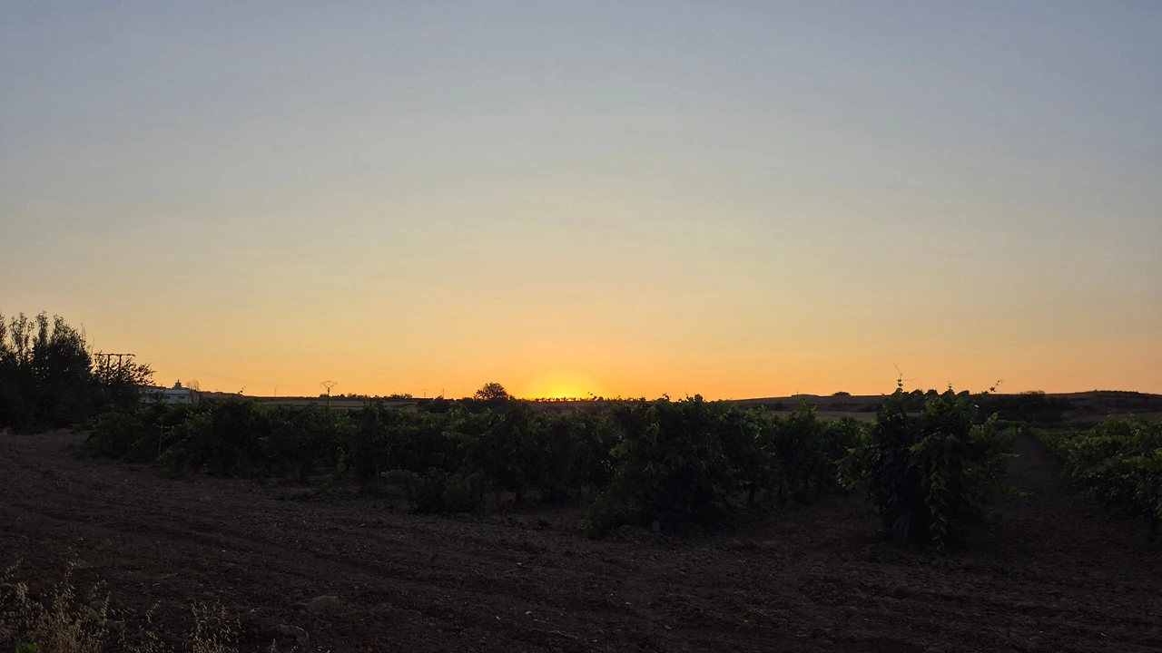 SE-3ec33d22-ae1a-11ef-af48-2d09a9d3fe6c.jpg?type=w3840